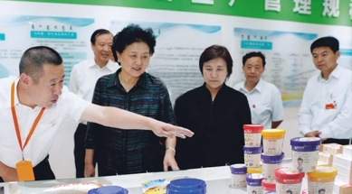 原中共中央政治局委員、國務(wù)院副總理劉延?xùn)|視察我公司